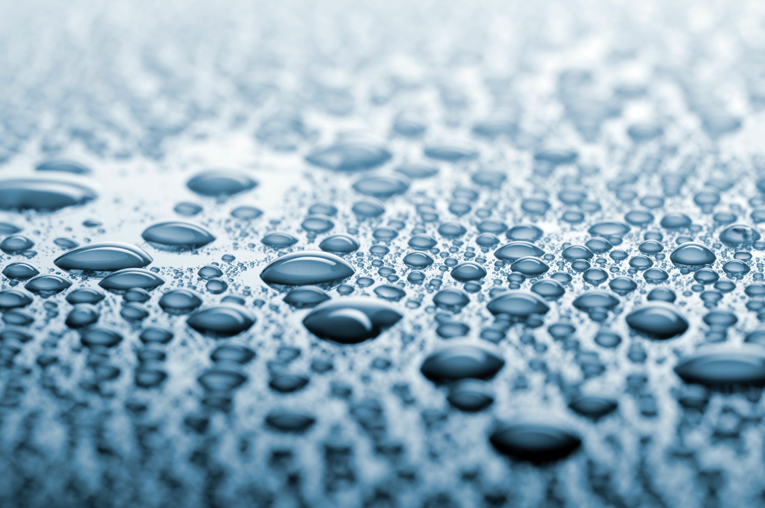 La carrera imparable de Novo Nordisk