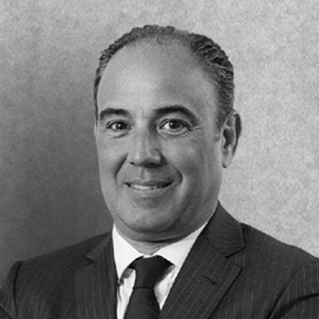 Juan Manuel Granados, Consejero